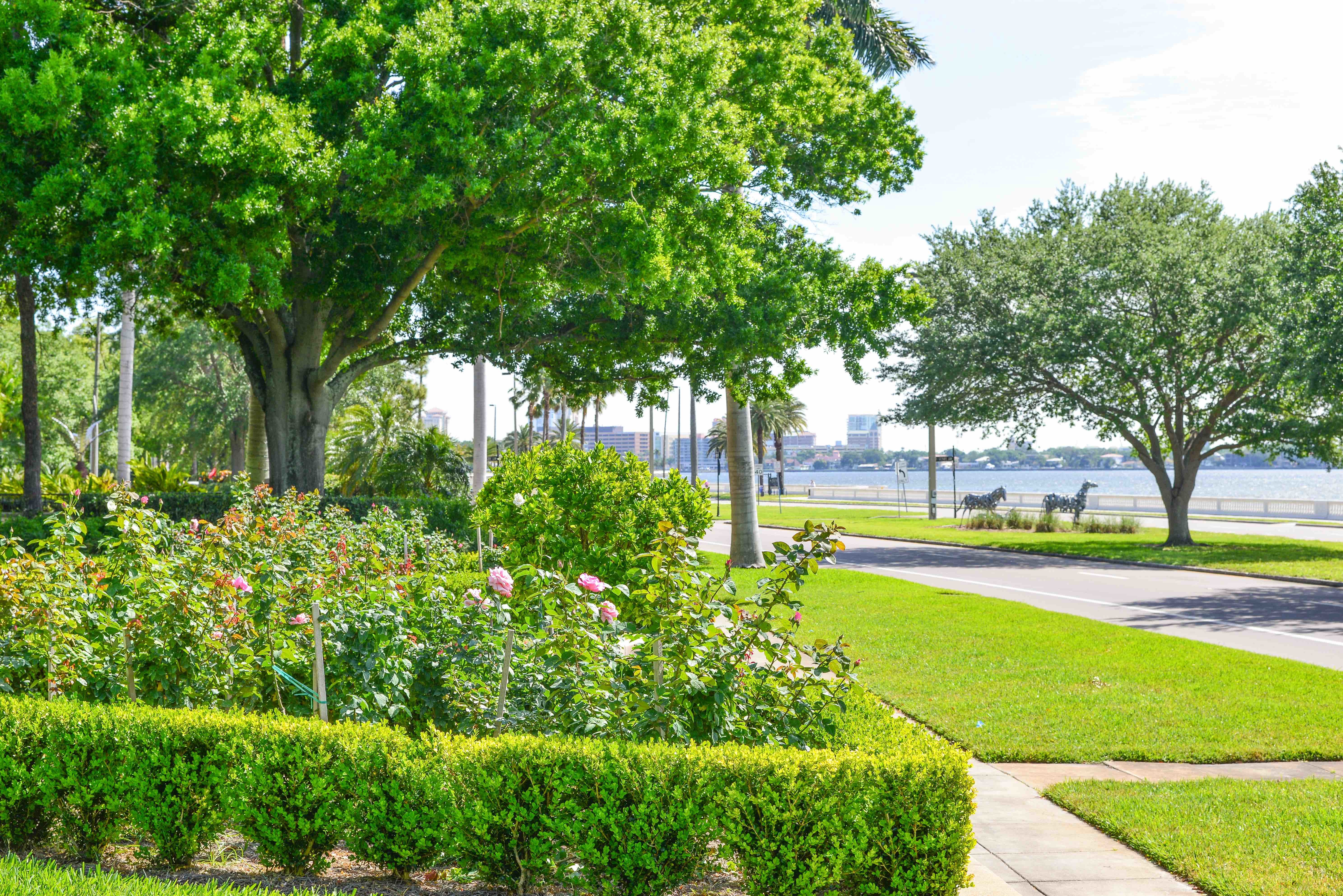 Adeste Condominiums, Bayshore, Florida Condos for Sale in Tampa